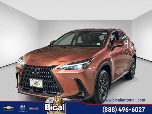 2025 Lexus NX NX 250