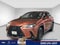 2025 Lexus NX NX 250