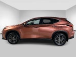 2025 Lexus NX NX 250