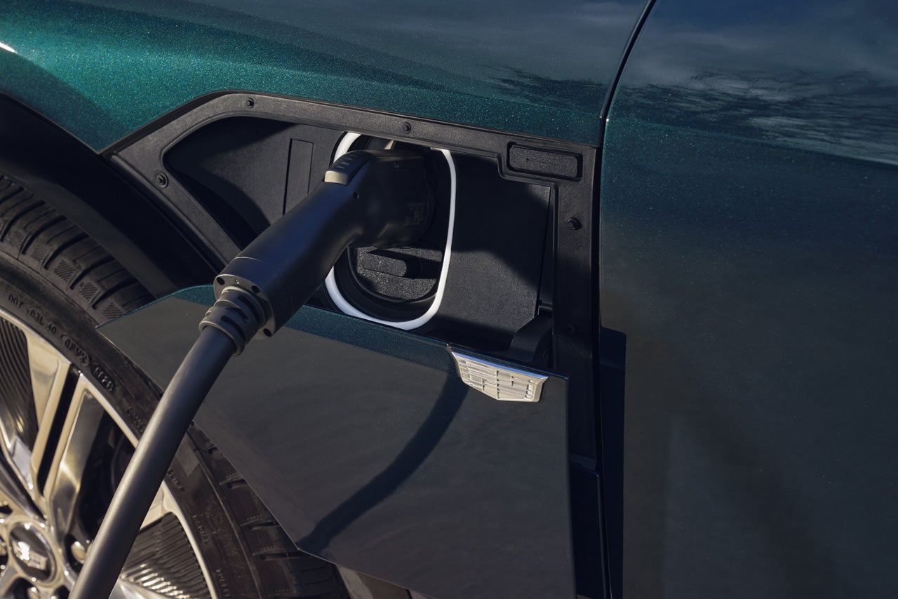 Bical Cadillac in Brooklyn NY