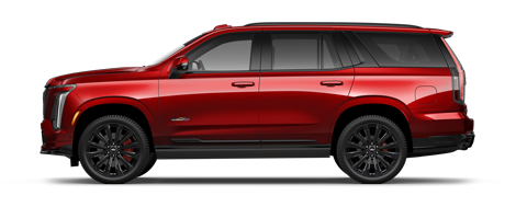 Bical Cadillac in Brooklyn NY